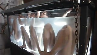 Lots of bitches are getting drowned in giant aquariums