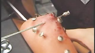 Stunning hottie with huge boobies looks like a good doll for torturing