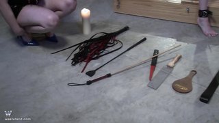 Wasteland hübsche heiße Babe wird schön von hinten stimuliert