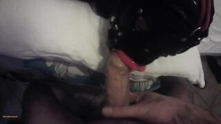 Hogtied in Latex: POV Throating with a Lip-Open Mouth Gag