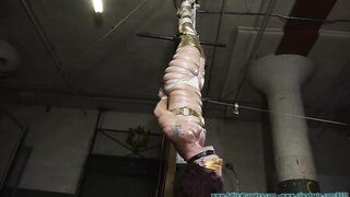 Golden Guardian Captured and Broken by Futile Struggles