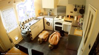 Dos chicas desnudas y sumisas bebiendo de cuencos de rodillas.