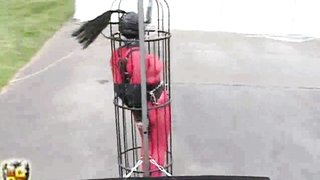 Busty bitch in full fetish suit is put in a cage attached to a truck
