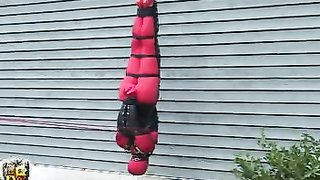 Beautiful hottie hangs upside down on the wall of my house