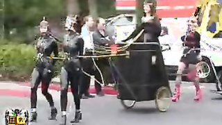 BDSM green energy parade, "bitches as engines" is their slogan