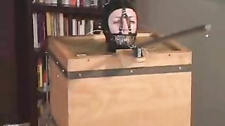 Master steckt eine Latex-Schlampe in eine kleine Holzkiste